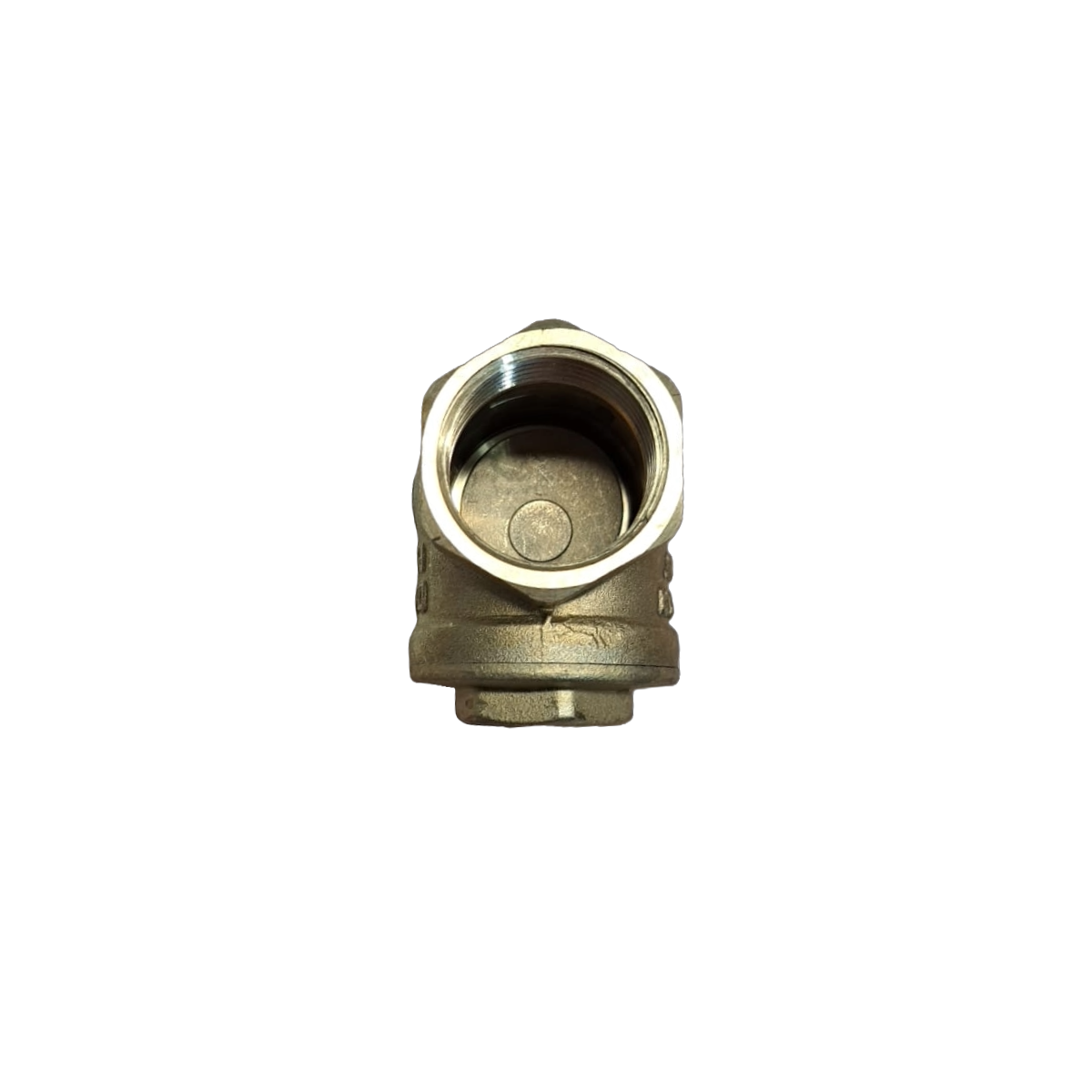 Swing Check Valve