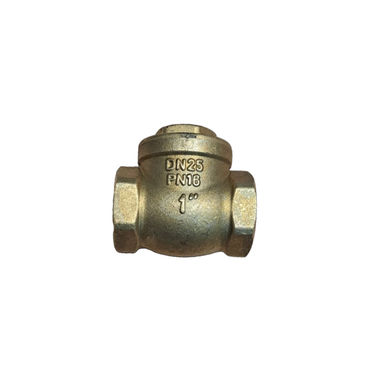 Swing Check Valve